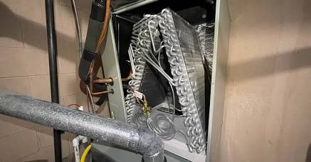 Preventative Tune-Ups