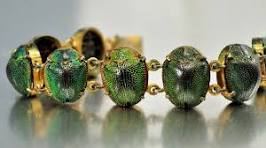 Des bijoux à base d'insectes (parfois vivants) | La vie au ...