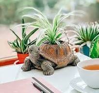 Amazon.com: Maceta de tortuga para suculentas: maceta de ...