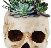 Pot de fleurs en forme de crâne en forme de tête de mort ...
