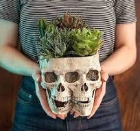 Pot de fleurs en forme de tête de mort pour plantes d'intérieur – Pot de  fleurs en forme de crâne dans une boîte cadeau – Pot de fleurs d'extérieur  ...
