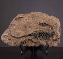 Amazon.com: OEIPSMK Estatua de escultura de cabeza ...