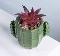 Pots de fleurs en céramique en forme de cactus OEM, pots ...