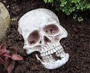 Amazon.com: Escultura de calavera vintage, figura realista ...