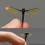 🦟🇨🇳 China ha creado un mosquito biónico casi indetectable ...