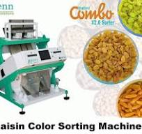 Raisin Dry Graphs Color Sorter - Dry Grapes Color Sorter ...