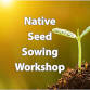 Taller de siembra de semillas nativas