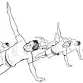 F3 Emberwatch - Free outdoor men's workouts in Henderson, NV