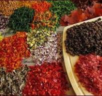 Guide to Dehydrating Food | Backpacking Chef
