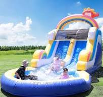 Amazon.com: 24ft Commercial Water Slide for Adults Kids(2 ...