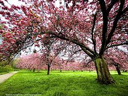 Les plus belles images de printemps - Photo-Paysage.com ...