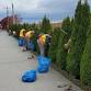 Spring Community Cleanup — Everett Station District Alliance