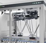 High Speed Sorting Meat Rolls Picking Delta Robot Manufacturer