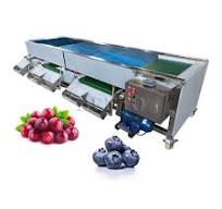 Blueberry Sorting Machine / Auto Blueberries Diameter Sorting Equipment /  Automatic Blueberries Sorter Machine