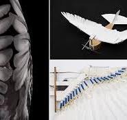 Unusual PigeonBot robot flies thanks to 40 bird feathers ...