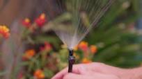 Rain Bird 0-29 GPH Half Circle Pattern Micro Spray on Adjustable Height  Staked Riser MSSTKTH1SX