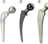 The history of the development of the regular straight stem ...