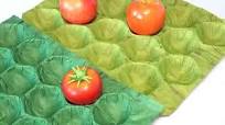 Colorful Prints 70g Kraft Paper Fruit Alveoli Paper Packaging Trays with  Nests