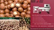 AMD X-ray Sorter Machine Price for Hawaii Macadamia Nuts Sorting