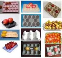 High quality fruit tray making machine for sale