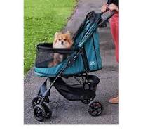 Pet Gear