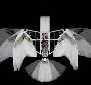 Robotic model with real pigeon feathers can fly like a bird