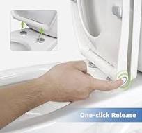 Universal Elongated Toilet Seat with Softclose Cover, One ...