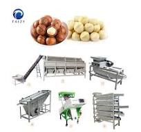 Chickpea Macadamia Nut Grading Machine Walnut Separate Machine Almond  Shelling Machine