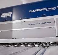 Blueberry Sorting Machines, Grading and Processing Equipment