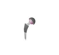 Alter Cementless Stem,Medical Device Manufacturers -Double ...