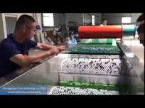 Blueberry grader, blueberry sizer, blueberry sorting machine