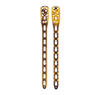 Locking Proximal Humerus Plate (2)