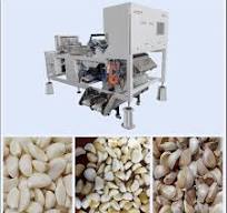 Various Uses Of Garlic Color Sorter In Agriculture