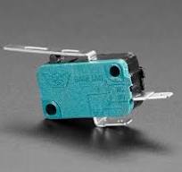 Micro Switch w/Lever - 2 Terminal