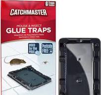 Amazon.com : Catchmaster-6 Mouse & Insect Glue Traps, Heavy ...