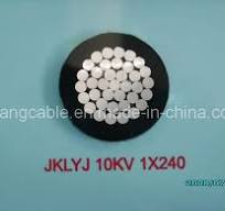 Aerial PVC Insulated Cable (JKLYJ-10KV) - jytopcable