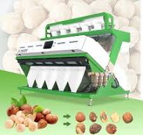 Why Modern Hazelnut Processors Need Optical Sorting Machines ...