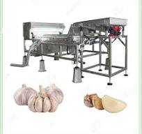 Garlic Color Sorting Machine: Quality AI-Precision - GELGOOG