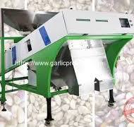 Automatic 1000kgh Garlic Clove Color Sorting Machine