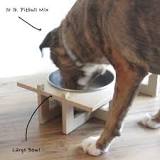 Stainless Steel Dog Bowls | Made in USA | Basis Products