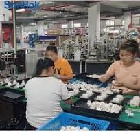 Automatic LED Bulb Assembly Machines - Efficient & Reliable