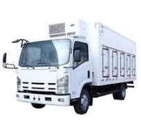 Buy In Bulk Isuzu Reefer Freezer Cold Box Truck 1k+ ...