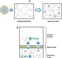Carbopol 974p - an overview | ScienceDirect Topics