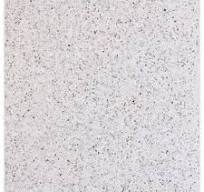 24" Venezia Terrazzo Slab (20mm PS)