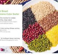 Top 5 Tips On How To Choose the best Grain Sorter | Wesor ...