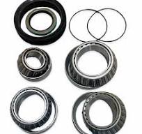 Case 1150 Series Dozer Final Drive Bearing and Seal Kit