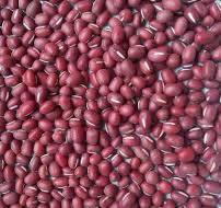 Single Chute Red Bean Separater Color Sorter beans sorting Processing  Machine