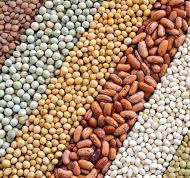 Beans | TOMRA