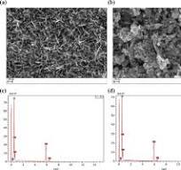 FEG-SEM images of a synthesized MnO2 powder and b EMD powder ...