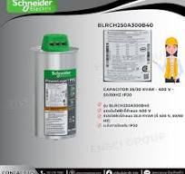 Schneider BLRCH250A300B40 heavy duty PowerLogic PFC ...